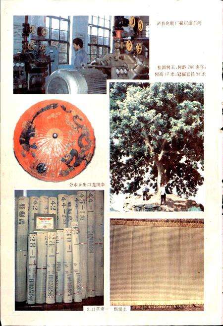 《泸县志》.pdf电子版_四川省志预览图5