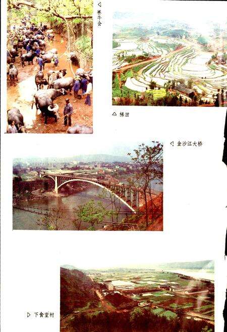 《宜宾县志》.pdf电子版_四川省志预览图4