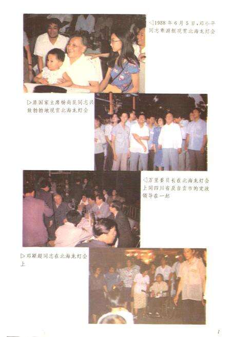 《自贡灯会志》.pdf电子版_四川省志预览图4