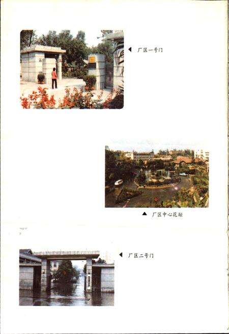 《自贡硬质合金厂志》.pdf电子版_四川省志预览图5