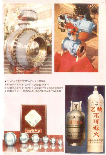 《自贡市机械工业志》.pdf电子版_四川省志预览图5