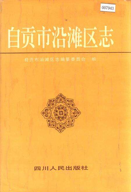 《自贡市沿滩区志》.pdf电子版_四川省志缩略图