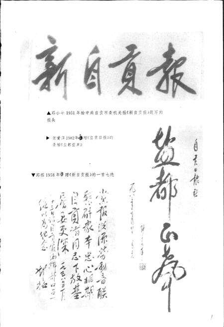 《自贡市报业志》.pdf电子版_四川省志预览图5