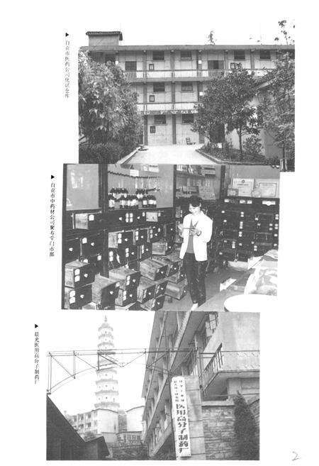 《自贡市医药志》.pdf电子版_四川省志预览图4