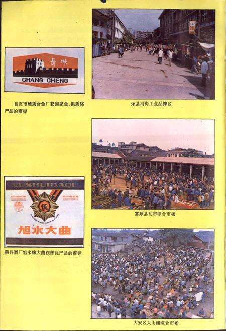 《工商行政管理志》.pdf电子版_四川省志预览图5