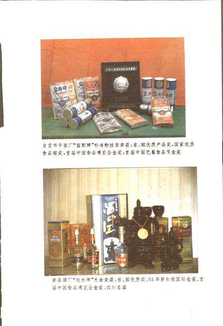 《自贡市食品工业志》.pdf电子版_四川省志预览图4