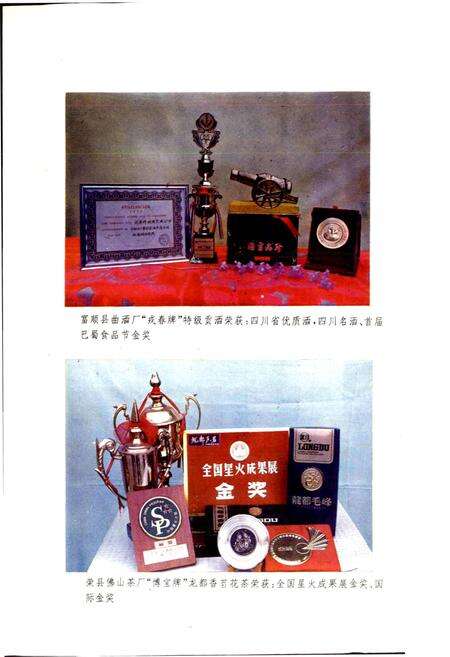 《自贡市食品工业志》.pdf电子版_四川省志预览图5