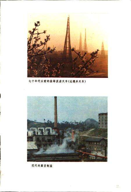 《自贡市工业志》.pdf电子版_四川省志预览图5