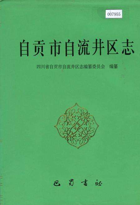 《自贡市自流井区志》.pdf电子版_四川省志缩略图