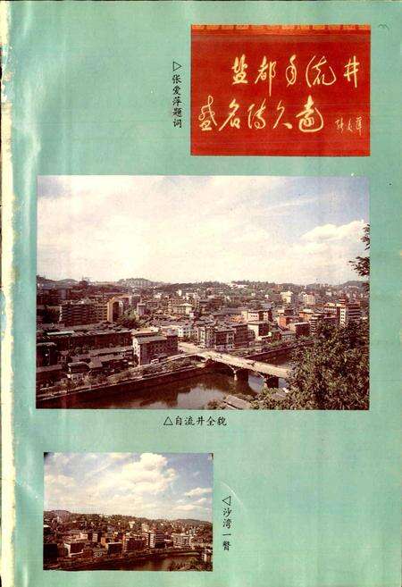《自贡市自流井区志》.pdf电子版_四川省志预览图5
