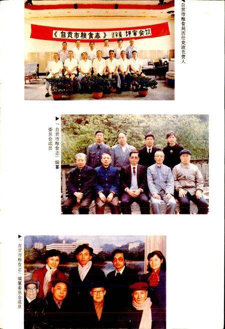 《自贡市粮食志》.pdf电子版_四川省志预览图4