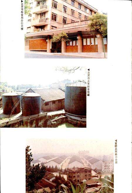 《自贡市粮食志》.pdf电子版_四川省志预览图5