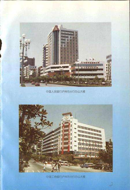 《泸州市金融志》.pdf电子版_四川省志预览图3