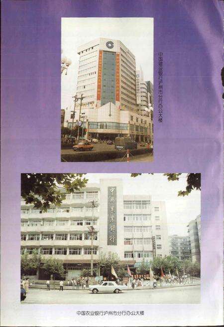 《泸州市金融志》.pdf电子版_四川省志预览图4