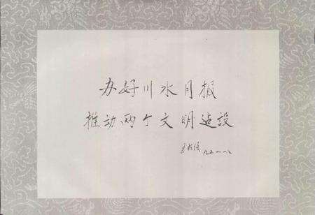 《川东水泥厂志》.pdf电子版_四川省志预览图3