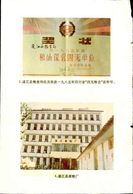 《通江县粮油志》.pdf电子版_四川省志预览图4