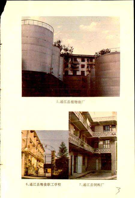《通江县粮油志》.pdf电子版_四川省志预览图5