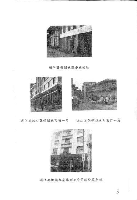 《通江县供销合作志》.pdf电子版_四川省志预览图3