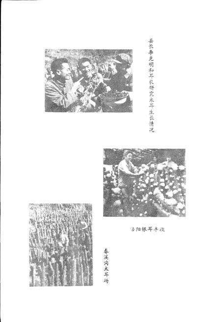 《通江县供销合作志》.pdf电子版_四川省志预览图4