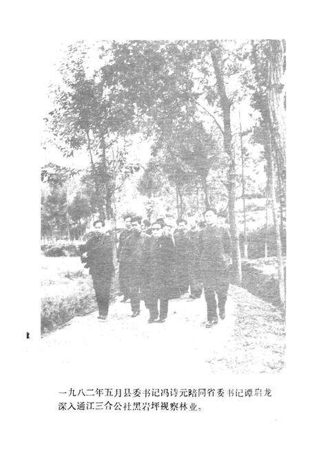 《通江县林业志》.pdf电子版_四川省志预览图3