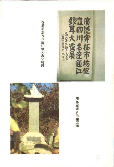 《通江银耳志》.pdf电子版_四川省志预览图2