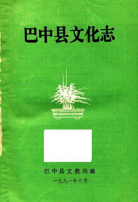 《巴中县文化志》.pdf电子版_四川省志预览图1