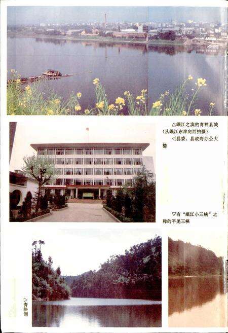 《青神县志》.pdf电子版_四川省志预览图4