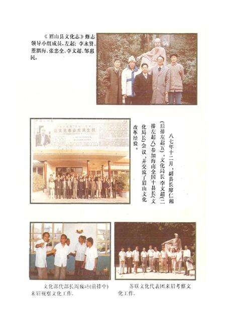 《眉山县文化志》.pdf电子版_四川省志预览图1