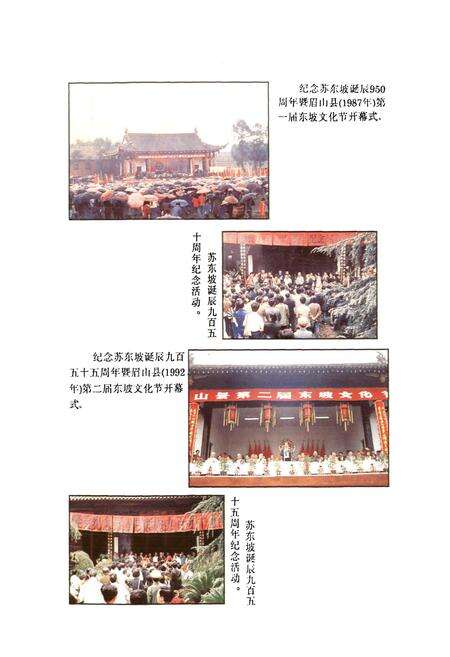 《眉山县文化志》.pdf电子版_四川省志预览图3