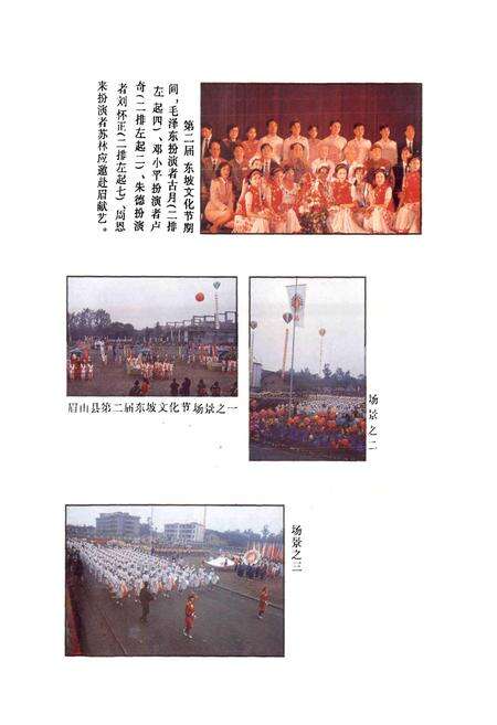 《眉山县文化志》.pdf电子版_四川省志预览图4
