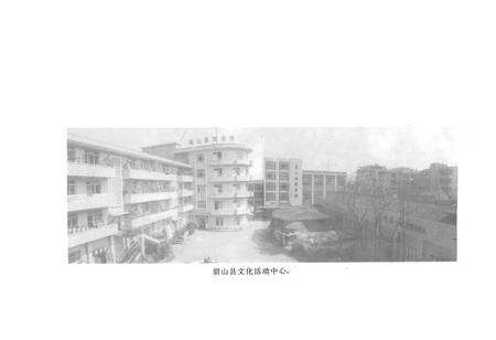 《眉山县文化志》.pdf电子版_四川省志预览图5