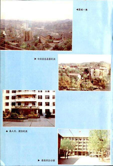 《安岳县志》.pdf电子版_四川省志预览图5