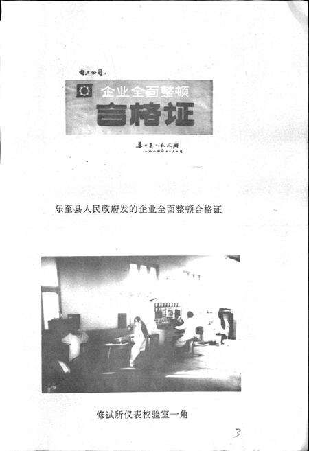 《乐至县电力公司志》.pdf电子版_四川省志预览图3