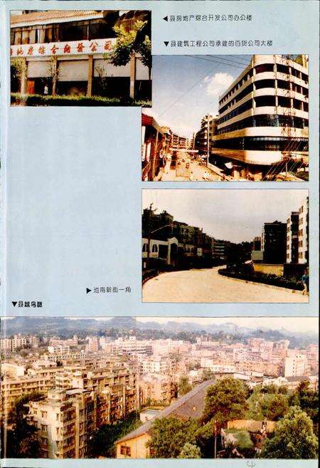 《乐至县志》.pdf电子版_四川省志预览图4