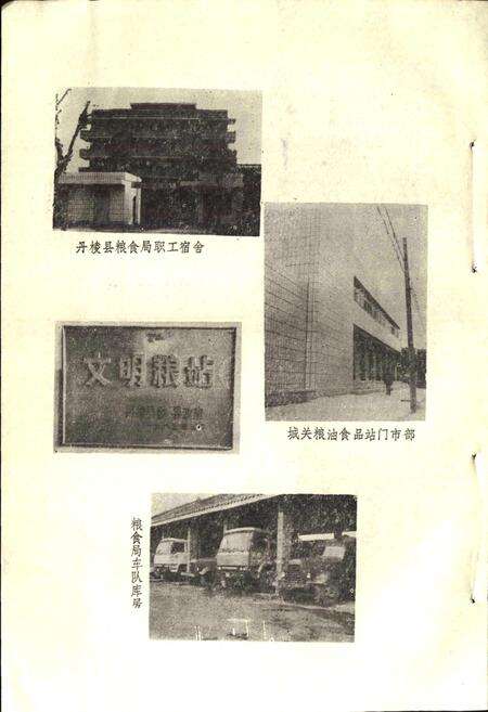 《丹棱县粮食志》.pdf电子版_四川省志预览图5