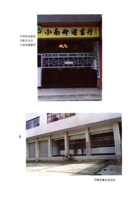 《丹棱县农村金融志》.pdf电子版_四川省志预览图4