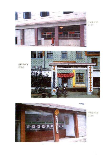 《丹棱县农村金融志》.pdf电子版_四川省志预览图5