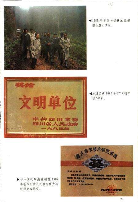 《洪雅林场志》.pdf电子版_四川省志预览图3