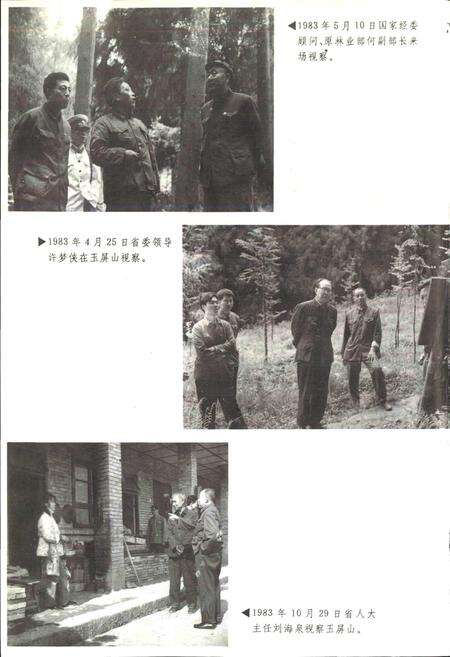 《洪雅林场志》.pdf电子版_四川省志预览图4