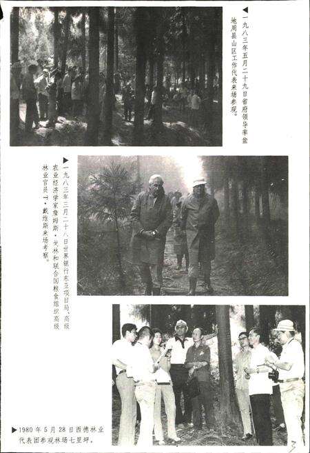 《洪雅林场志》.pdf电子版_四川省志预览图5