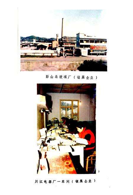 《彭山县凤鸣镇志》.pdf电子版_四川省志预览图5