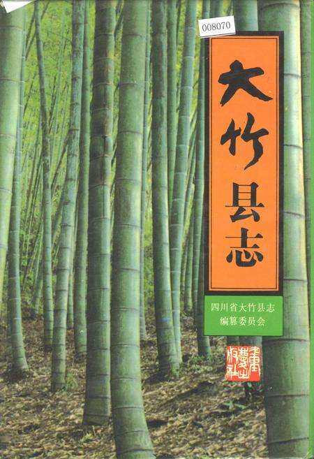 《大竹县志》.pdf电子版_四川省志缩略图