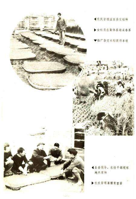《开江县志》.pdf电子版_四川省志预览图4