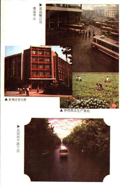 《资阳县财政志》.pdf电子版_四川省志预览图5