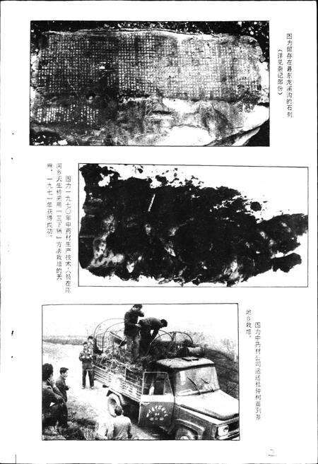 《通江县医药志》.pdf电子版_四川省志预览图5