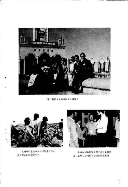 《通江县烟草志》.pdf电子版_四川省志预览图4