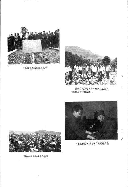 《通江县烟草志》.pdf电子版_四川省志预览图5