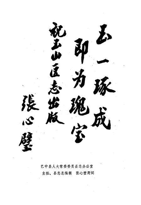 《巴中县玉山区志》.pdf电子版_四川省志预览图2