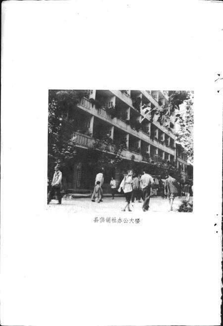 《巴中县供销合作志》.pdf电子版_四川省志预览图4
