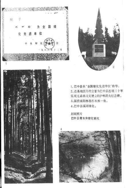 《巴中县林业志》.pdf电子版_四川省志预览图4